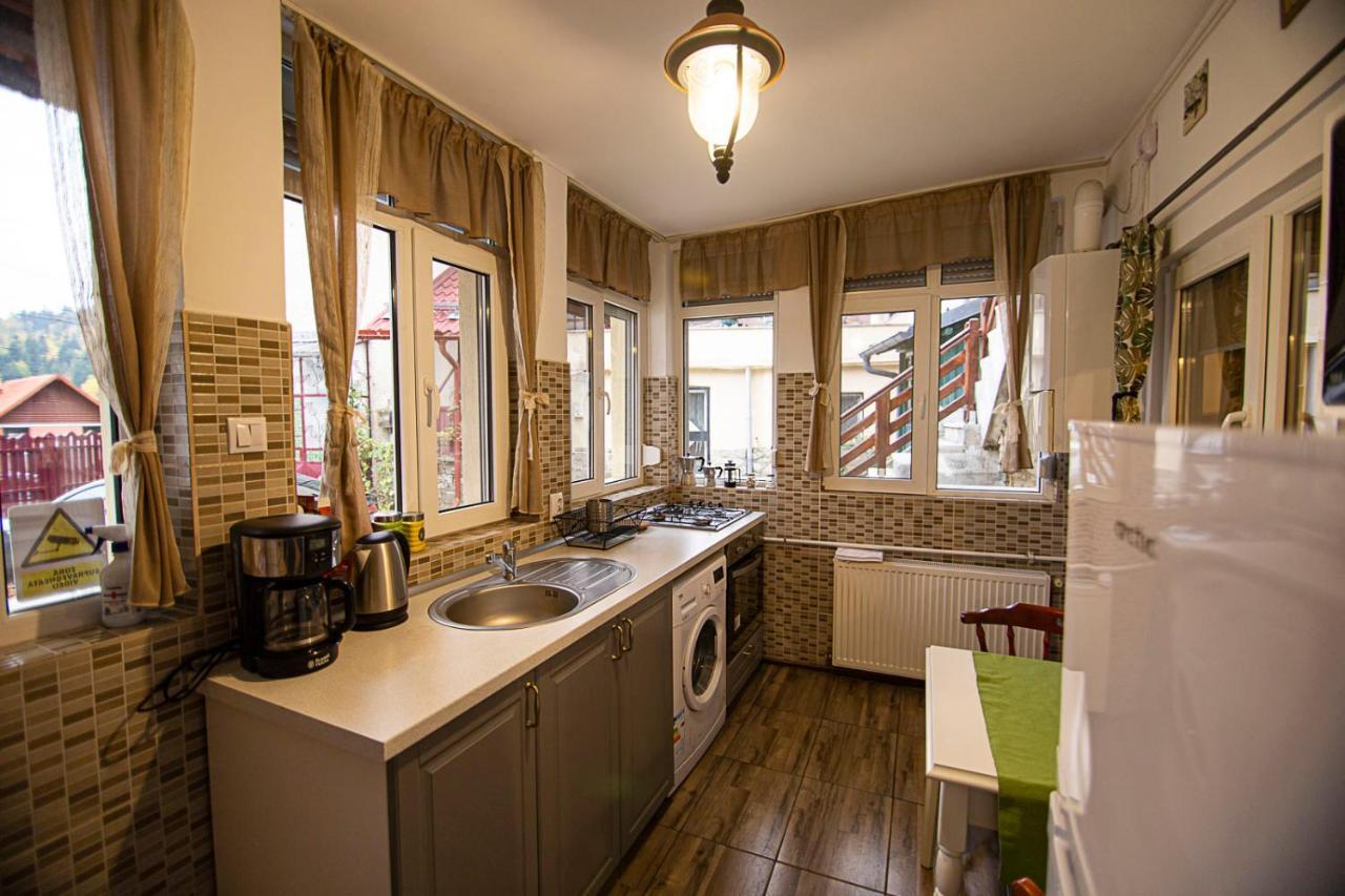 Casa Sara Appartement Sinaia Buitenkant foto