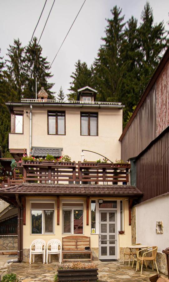 Casa Sara Appartement Sinaia Buitenkant foto
